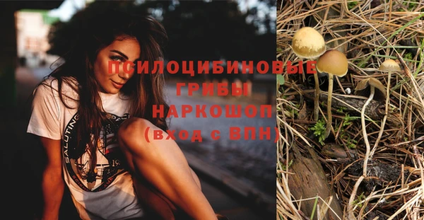 гидра Балабаново