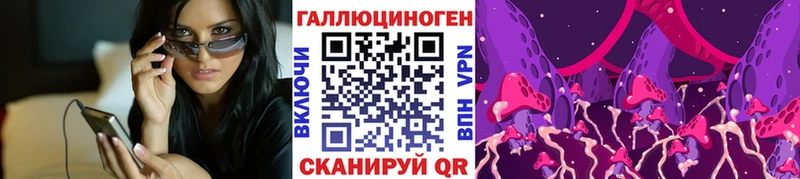 Псилоцибиновые грибы Psilocybe  Избербаш 